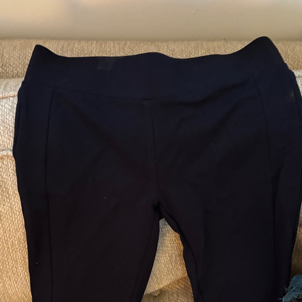 LOFT Navy Blue Pants